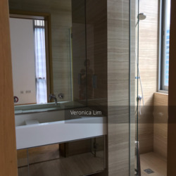 Newton Imperial (D11), Apartment #273474321